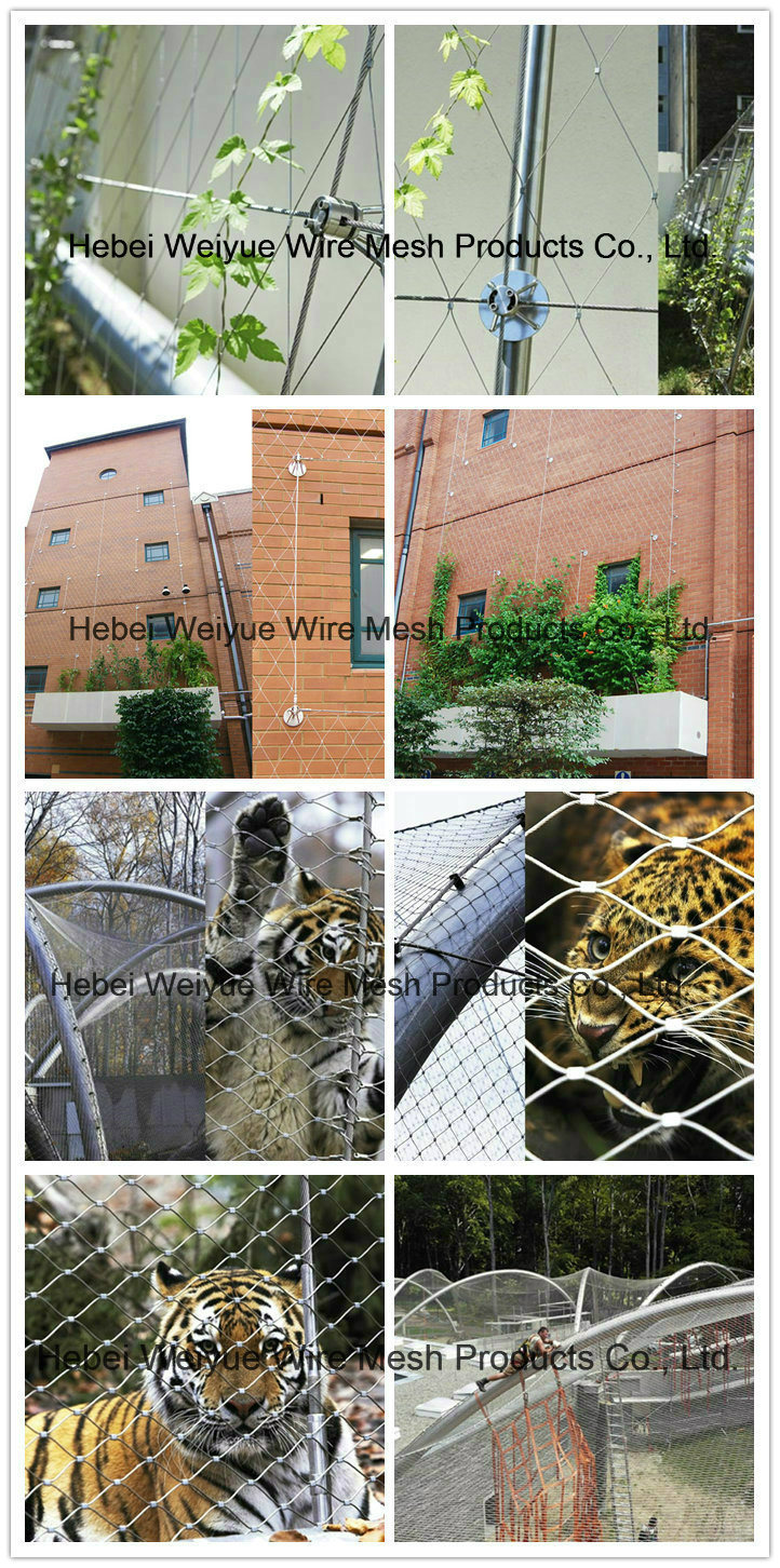 Stainless Steel Ferruled Aviary Wire Rope Cable Zoo Mesh