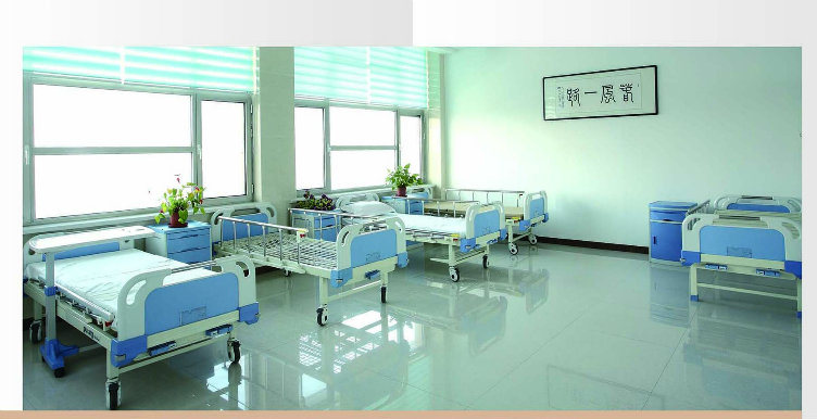 HD-1 Five-Function Electric Bed, High Quality Hospital Bed