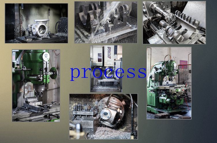 Stainless Steel Metallic Processing Machinery CNC Machining Auto Spare Parts