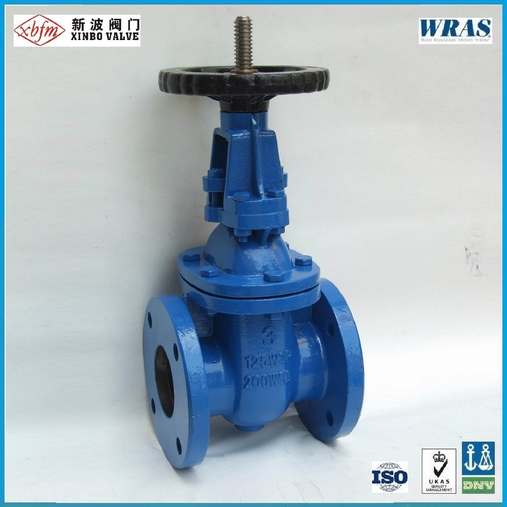 ANSI-125psi/150psi Rising Stem Cast Iron Gate Valve