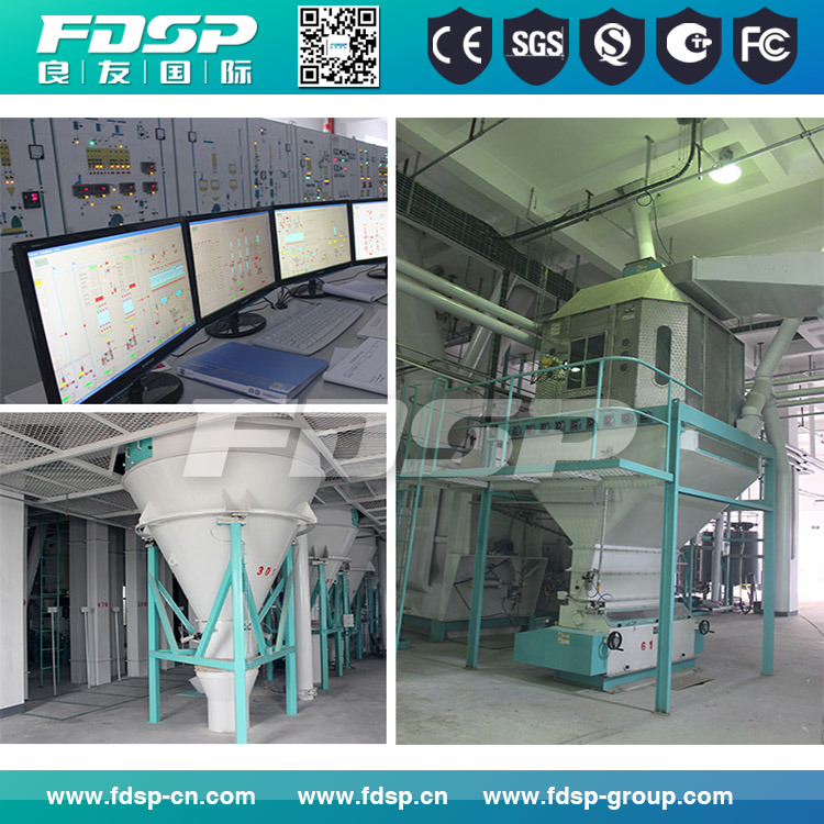 Machine Manufacturer Chicken Feed Pellet Plant for Sale