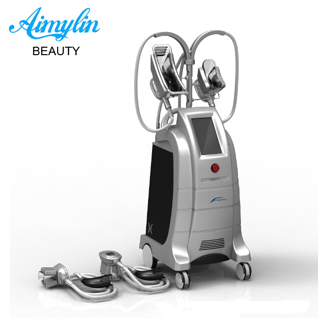 Two Handpieces Can Work Together / Cryolipolysis Fat Freeze Slimming Machine