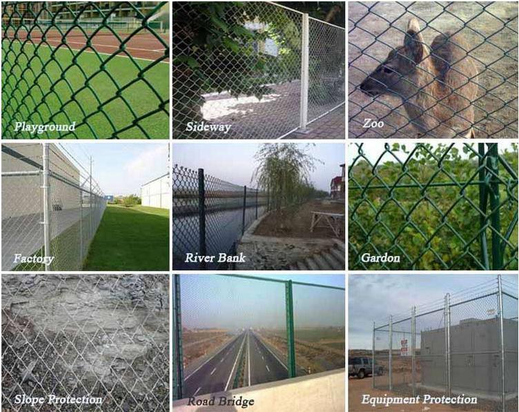 PVC Coated Chain Link Fence Hot Sale