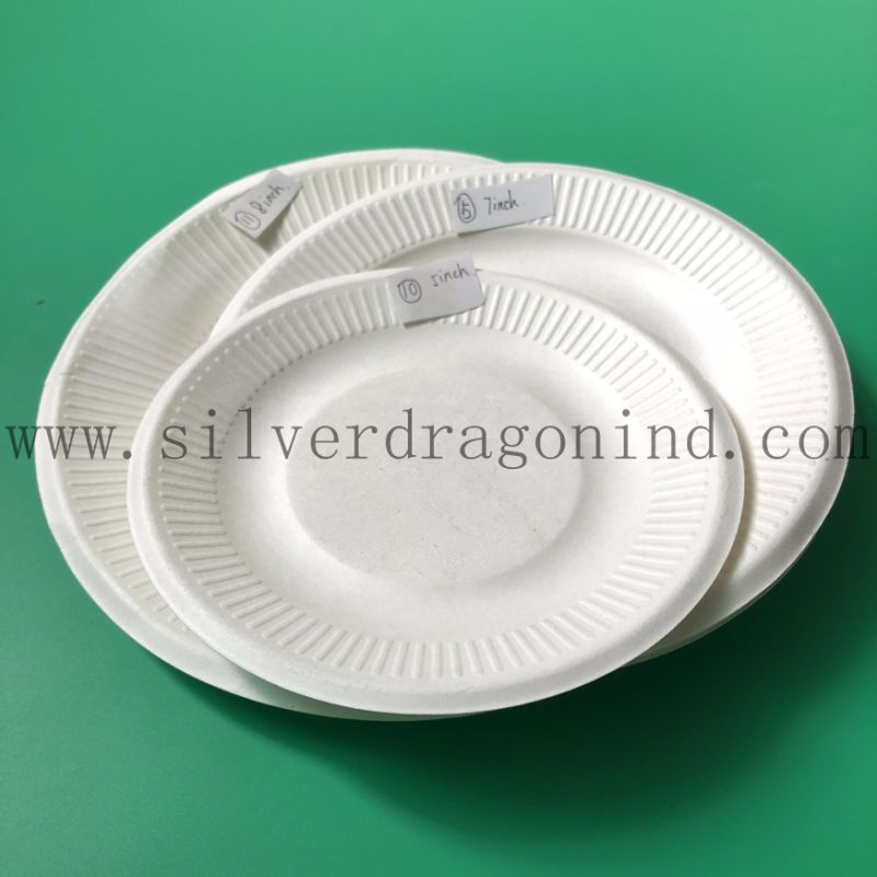 Sugarcane Pulp Disposable Paper Tray for Dinner or Party