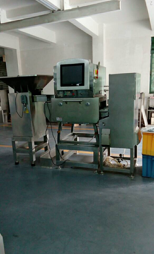 Industrial Conveyor Belt Digital X Ray Scanner Machine Price for Food Made in China