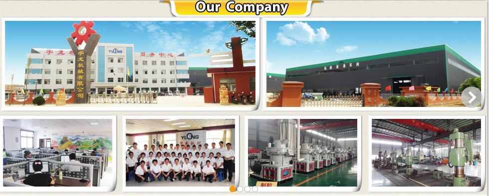 Yulong Vertical Ring-Die 4-6t/H Wood Sawdust Pellet Produce Line