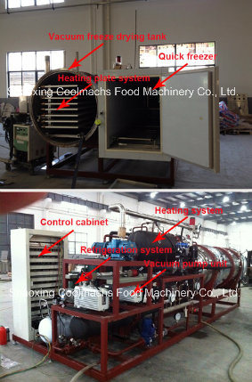 Two Chamber Food Use Vacuum Freeze Dryer