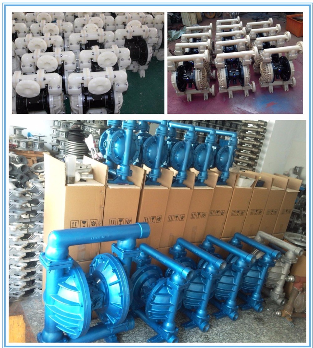 Stainless Steel Pneumatic Double Diaphragm Pump