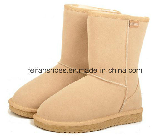 OEM High Quality Warm and Comfortable Winter Shoes Snow Boots for Women (FF93-1)
