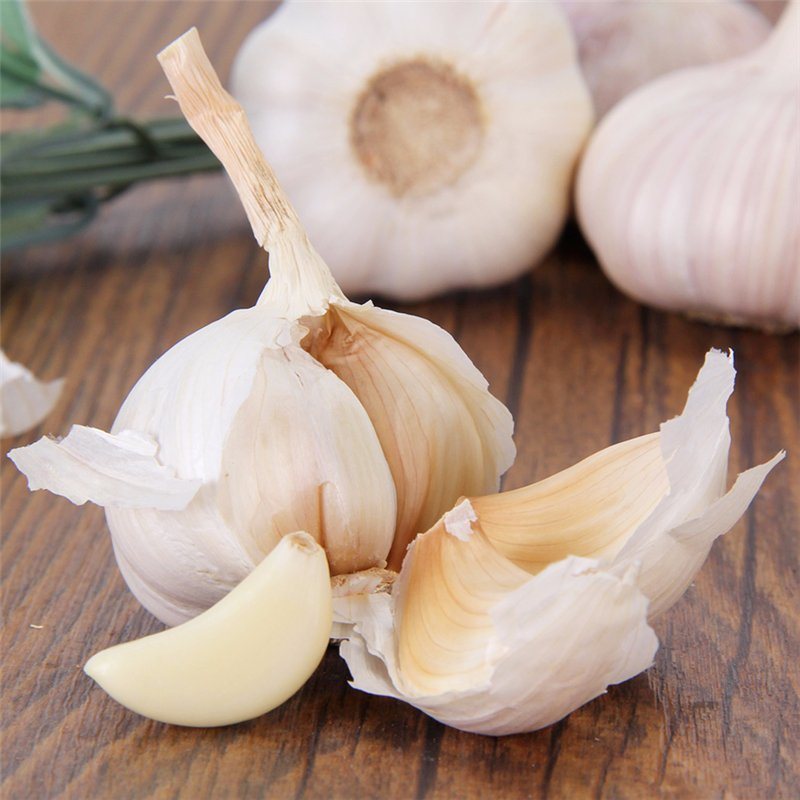 Buy 100% Pure Fresh White Garlic/Natural Garlic/Fresh Peeled Garlic Bulk