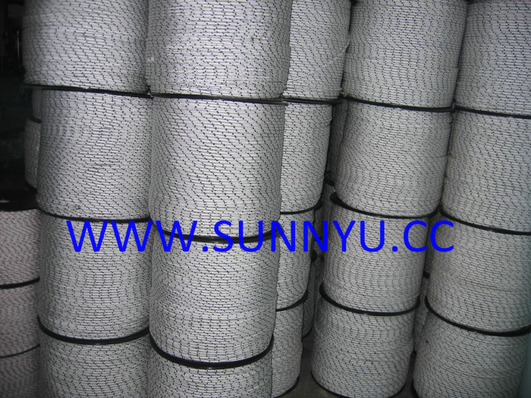 High Quality Strong PP Solid Braided Rope with Competitive Price