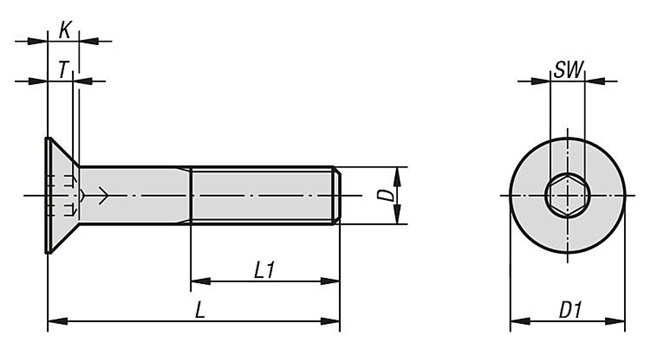 Hexagon Socket Countersunk Head Cap Screw DIN7991 Titanium Gr. 2