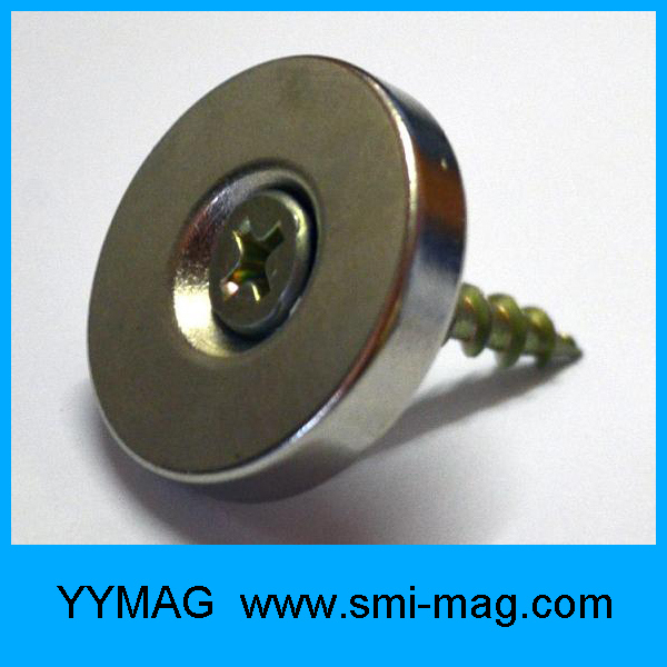 High Quality Rare Earth Magnet with Screw Hole Ring Magnets