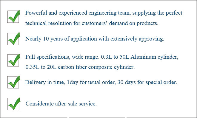 Supplier Aluminum Standard Gas Cylinder