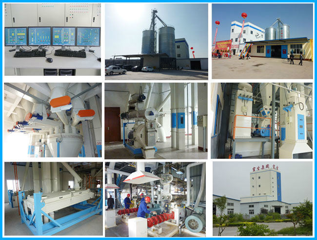 Small Size Carp Fish Feed Pellet Production Line