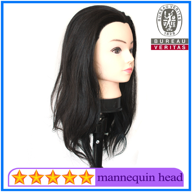 100% Human Hair Mannequin Head for Training