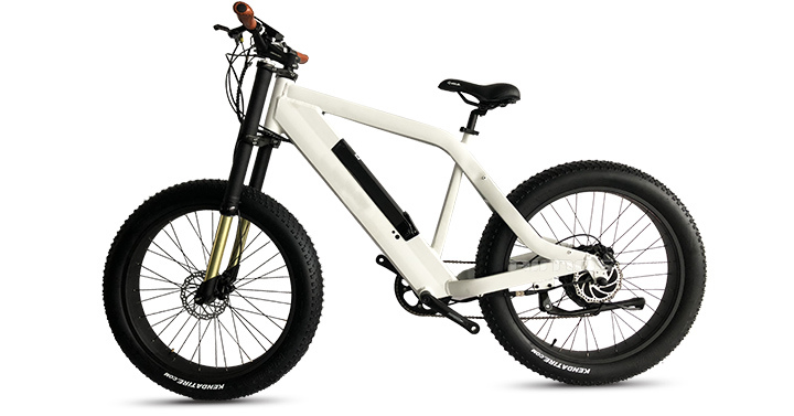 Europe Market Electric Bike Mountain Ebike for Sale