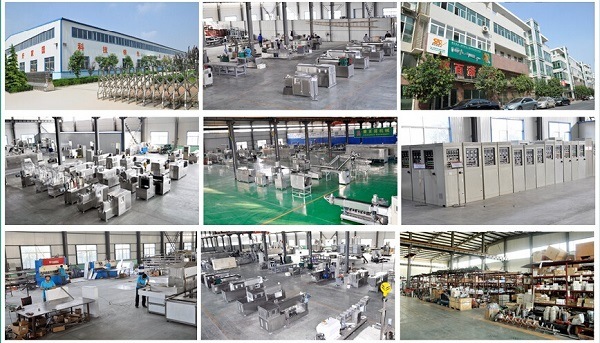 Factory Supply Pet Food Processing Equipment