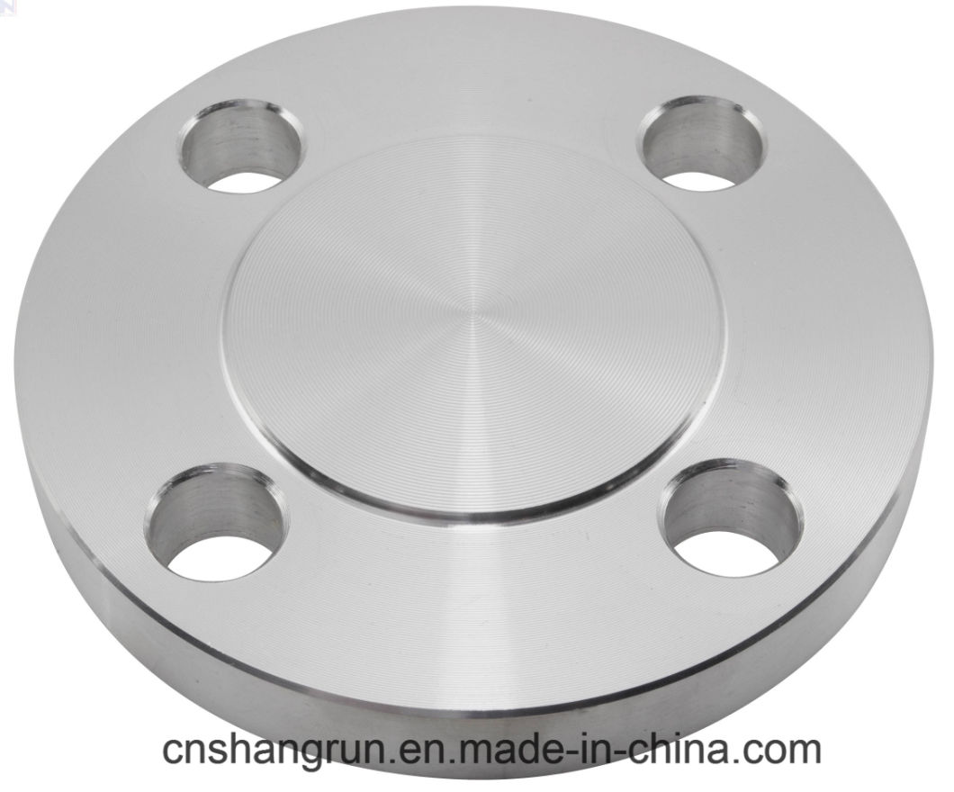 En1092-1 304L Blind Flange for Pipe Fittings