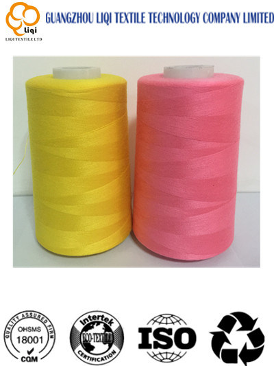 Good-Quality of Wear Resistant 100% Polyester Embroidery Textile Sewing Thread 75D/2