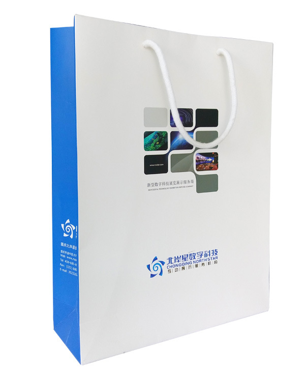 Offset Printing Paper Hand Bag with Silk Ribbon