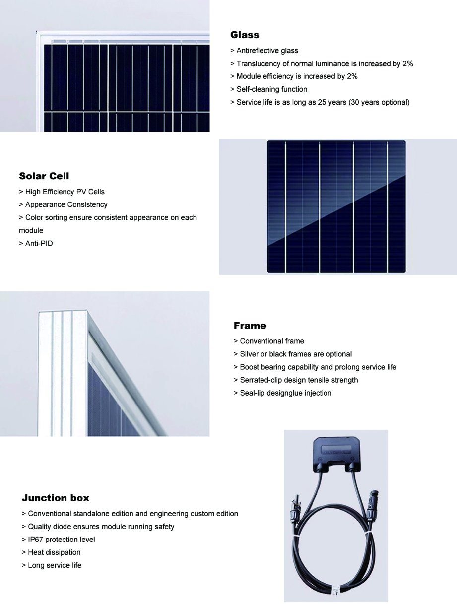 310W Poly PV Solar Panel for Solar Power System