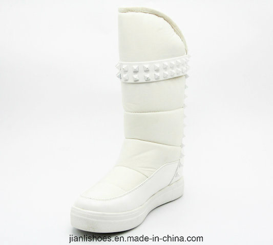 Winter Warm Casual Snow Fashion Women Boots with Soft Fur (BT744)