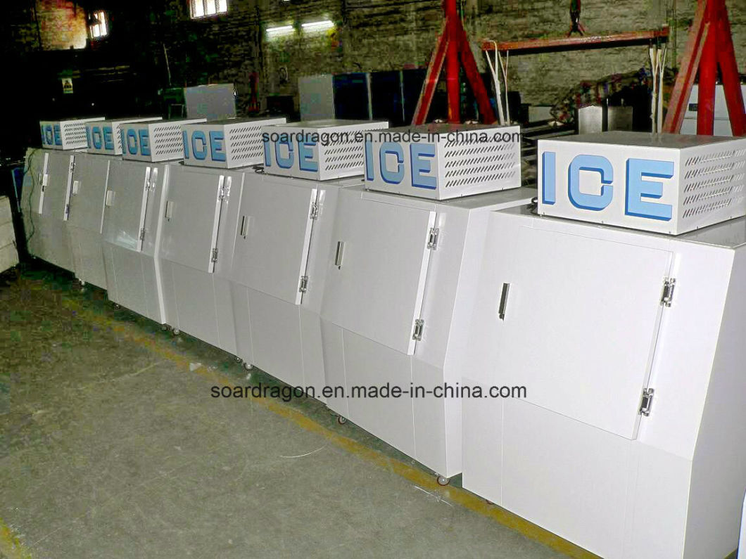 Outdoor Use Cold Wall System Bagged Ice Merchandiser with Slant Door