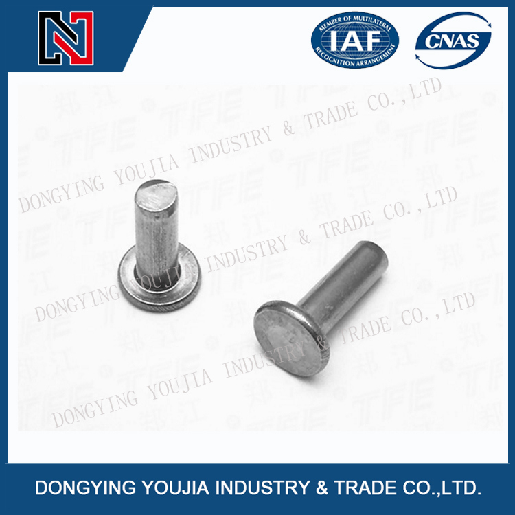 GB109 Stainless Steel Flat Head Rivets