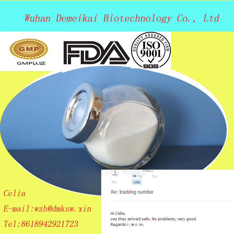 Top Quality Pharmaceutical Chemical Procaine Powder with Excllect Effect Safe Ship