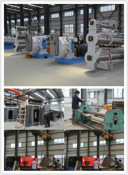 Competitive Cattle Feed Pellet Press Machine China Manufacturer