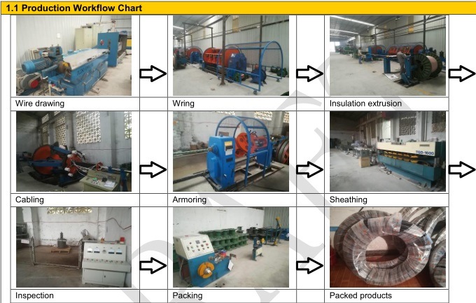 300/500V PVC Sheath BV Electrical Wire and Cable BV/BVV/RV/Rvv/Rvs AAC/AAAC/ACSR Power Cable