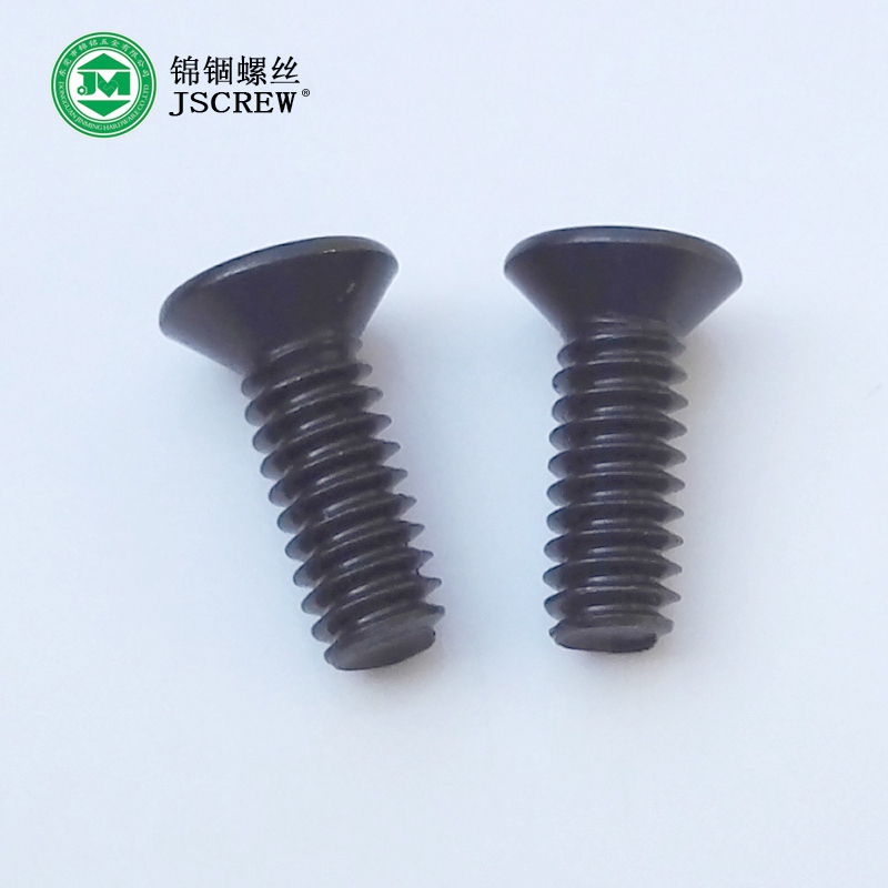 1/4 Harden Black Hex Socket Flat Head Machine Micro Bolt