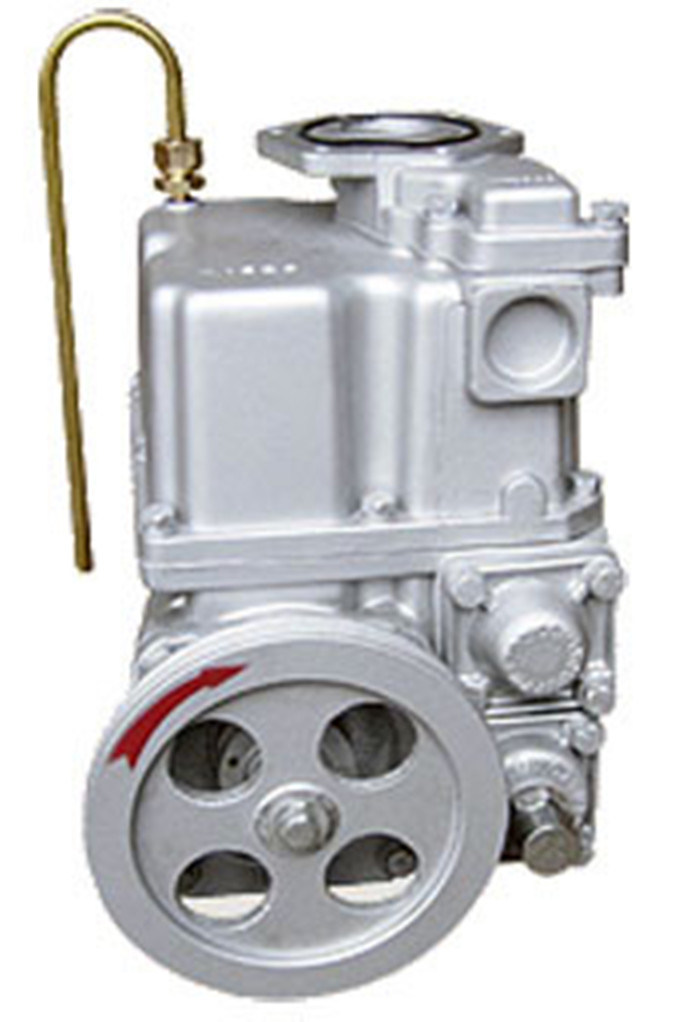 Rt-Cp8 (TATSUNO type) Pump