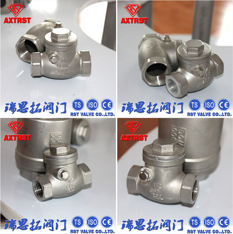 Stainless Steel Swing Type Check Valve (200psi)