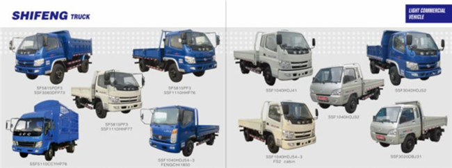 China Cargo Dump Truck for Sale