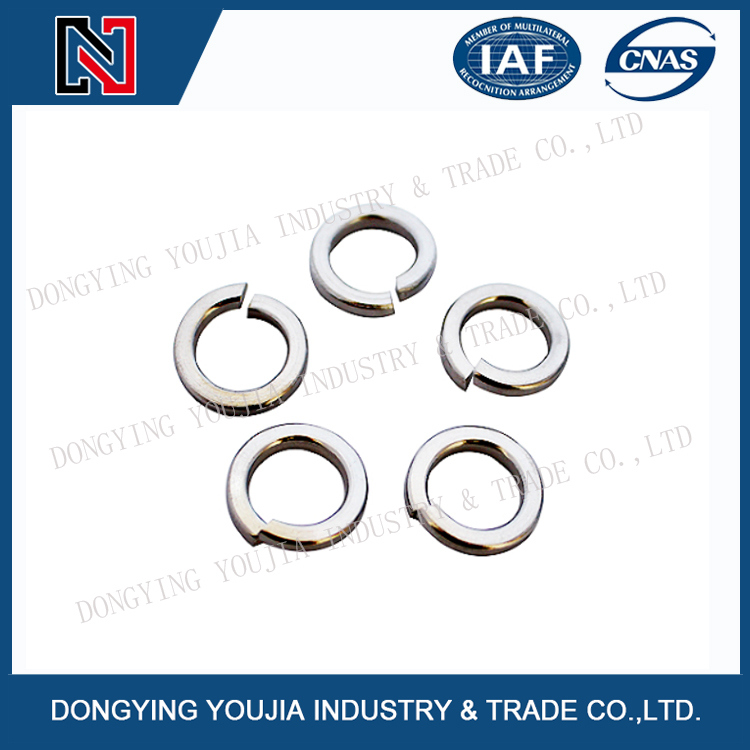 Ansib18.21.1 Stainless Steel Spring Washer