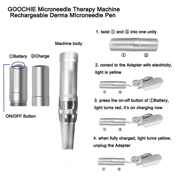 SGS, Ce, LVD, EMC Certification and Derma Rolling System Type Skin Needling Derma Pen