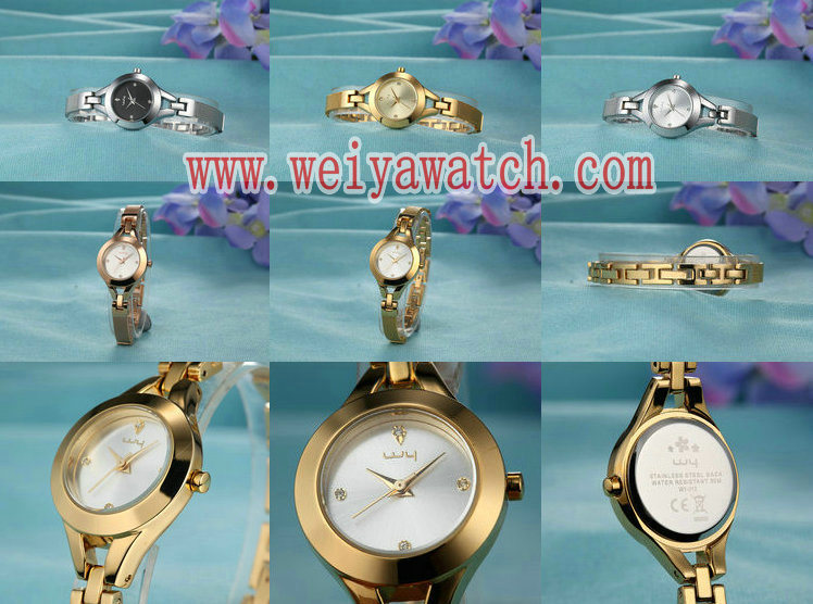 Fashion Stainless Steel Quartz Ladies Casual Wristwatch (Wy-010E)