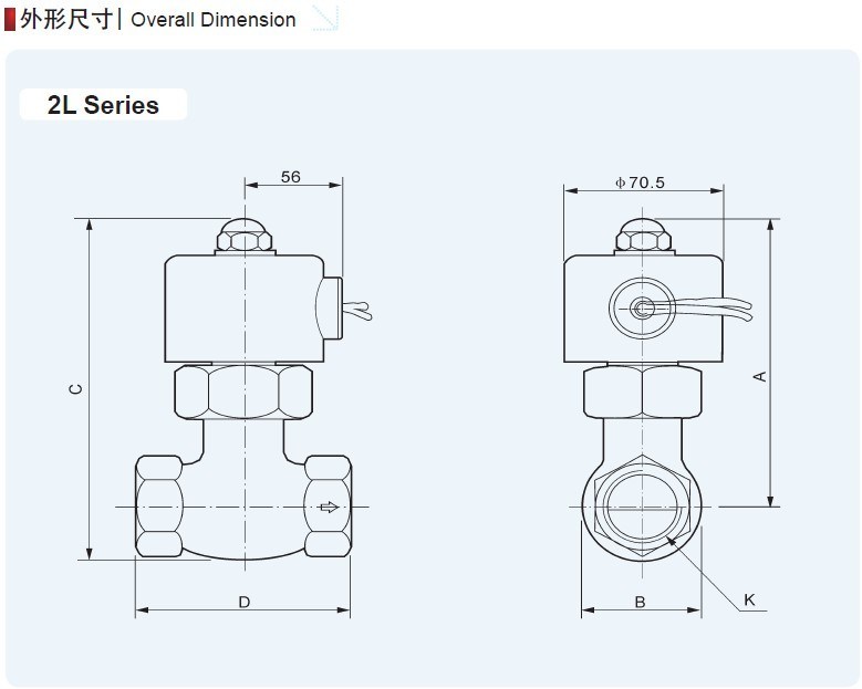 2L170-10 Steam Water Solenoid Valve