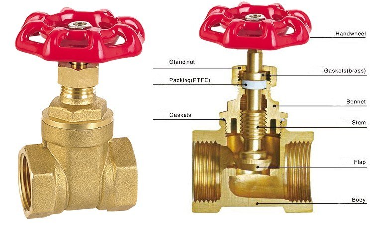 Fogred Brass Gate Valve for Water Control Valve