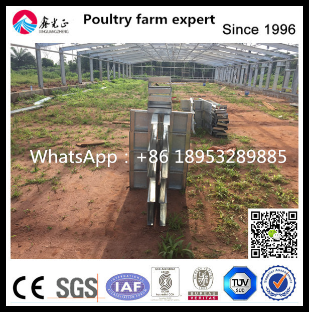Chicken Farm Cleaning System Manure Cleaning