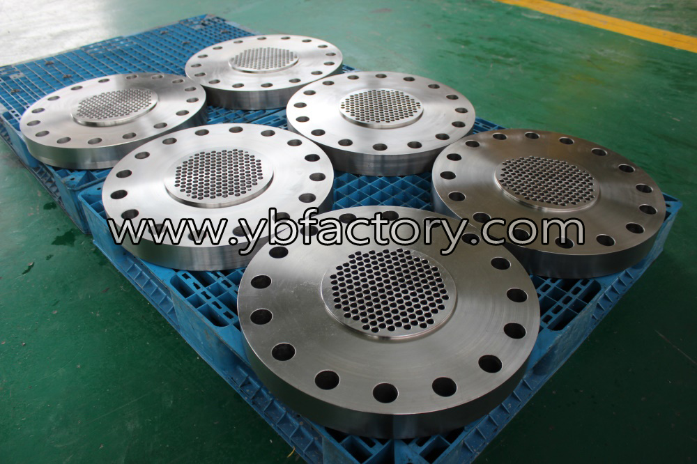 Die Casting Heavy Forging Alloy Steel Large Size Flange