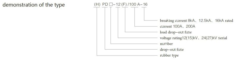 (H) Pd-12 (F) /100A Cut off Fuse (economy type)