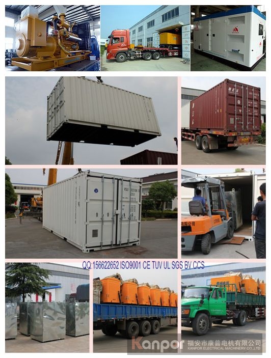 Weatherproof Genset Rainproof Soundproof Canopy Diesel Electrical Generator for Typhoon Season Outside Mall