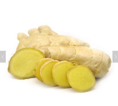 Good Quality Unspoiled Plump Clean Yellow Color Chinese Fresh Ginger