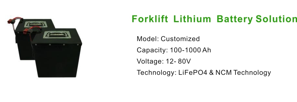 Everexceed Motive Battery System 24V100ah - Forklift Battery