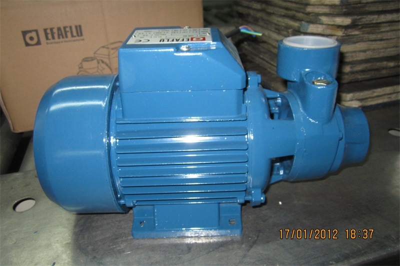 Qb Series 0.5HP Pedro Water Pump Booster Clean Water Pump