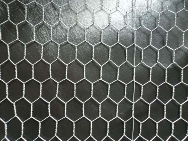 Galvanized and PVC Coated Hexagonal Wire Mesh with Factory Price