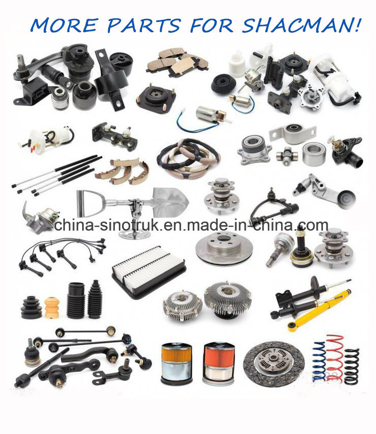 Competitive Price Original Â  Body Parts & Accessories for Shacman with Top Quality